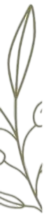 S1 Image 1