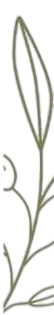 S1 Image 2